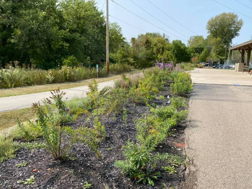 Planting bed at Beavercreek Station with a variety of native plants